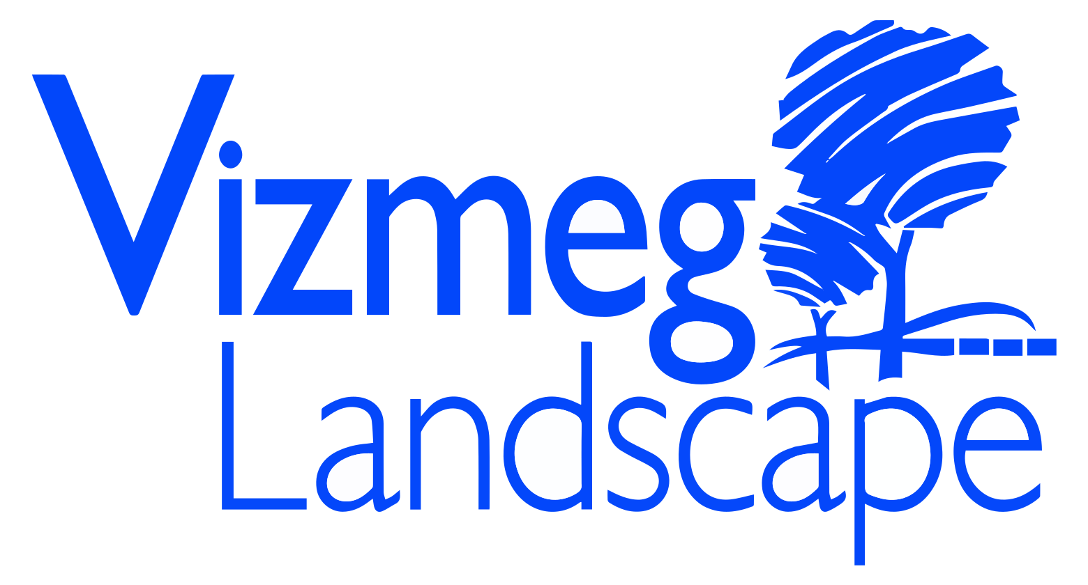 Vizmeg Landscape logo blue